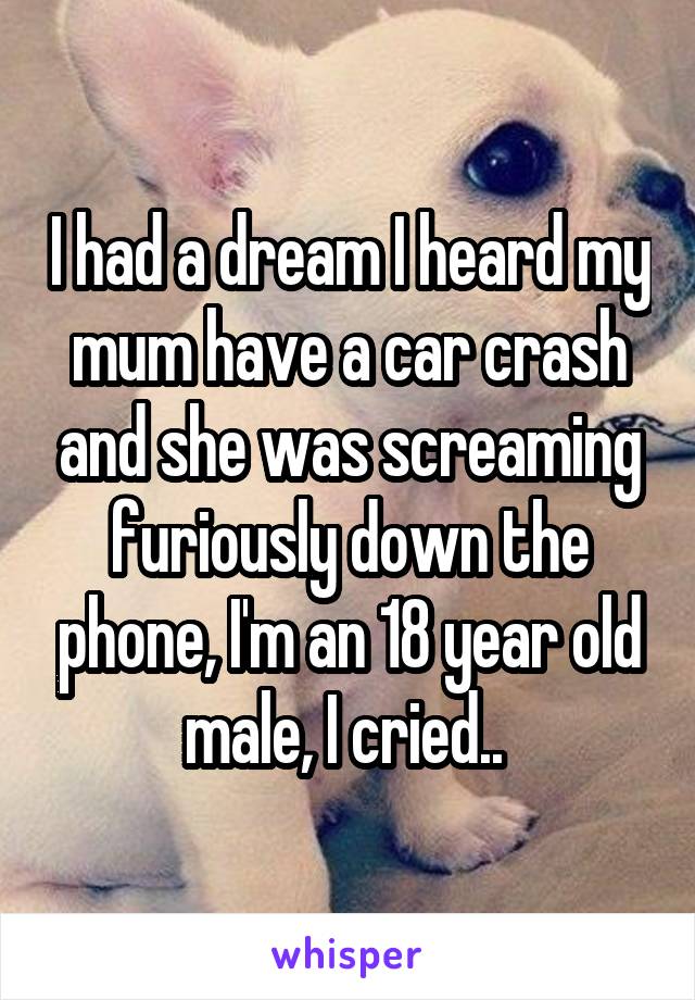 I had a dream I heard my mum have a car crash and she was screaming furiously down the phone, I'm an 18 year old male, I cried.. 