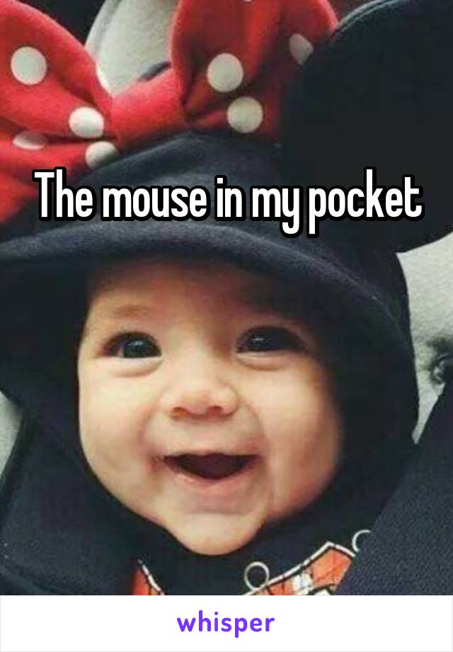 The mouse in my pocket 


