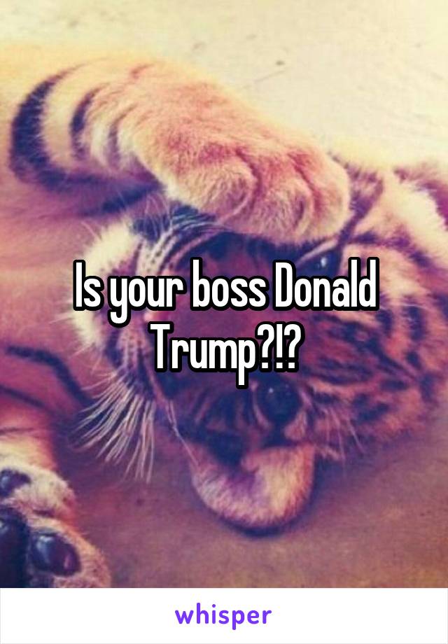 Is your boss Donald Trump?!?