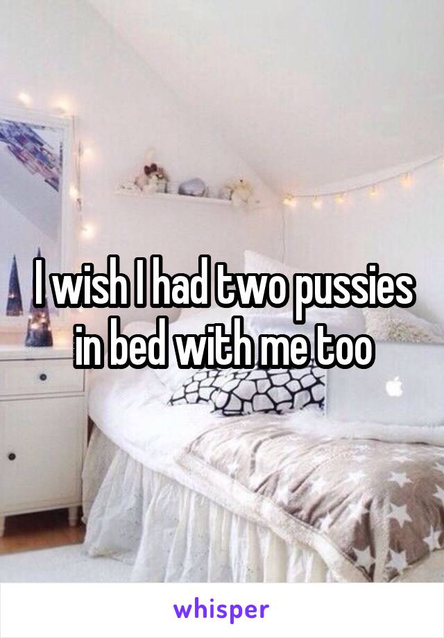 I wish I had two pussies in bed with me too