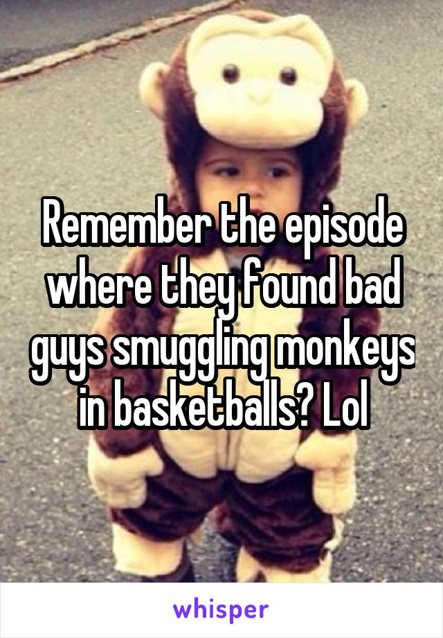 Remember the episode where they found bad guys smuggling monkeys in basketballs? Lol