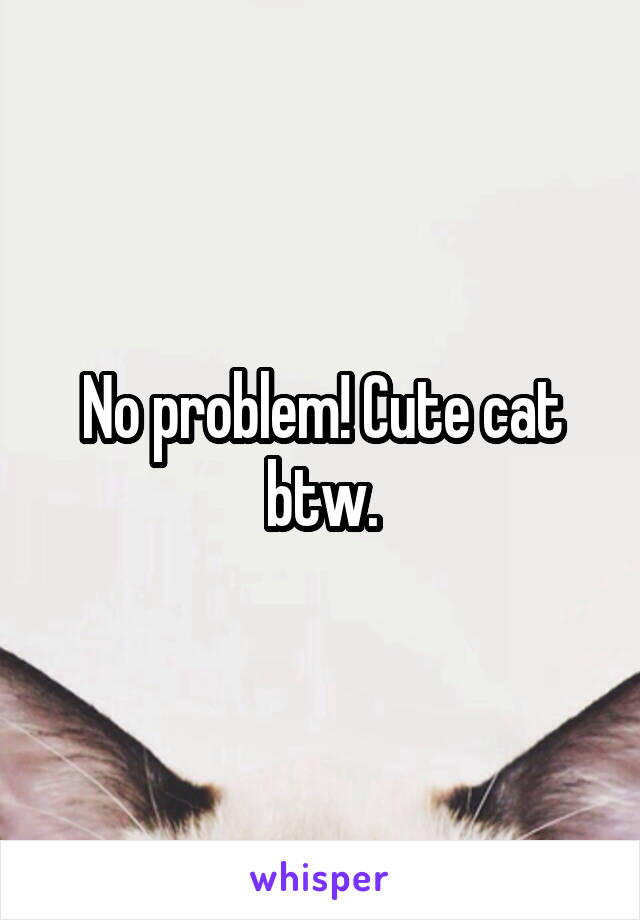 No problem! Cute cat btw.