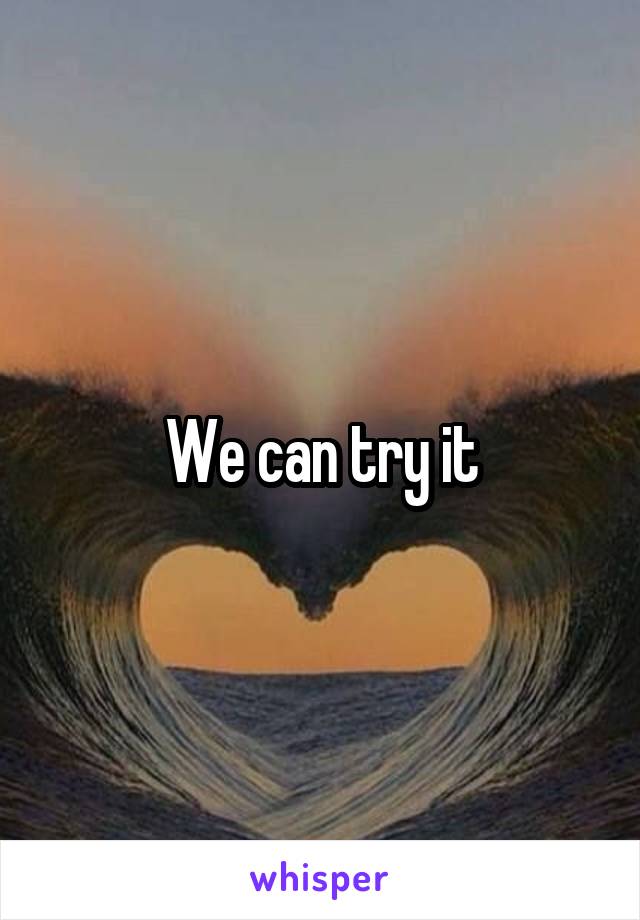 we-can-try-it