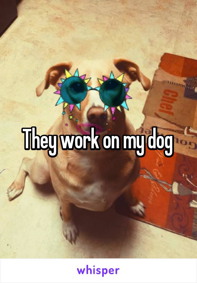They work on my dog 