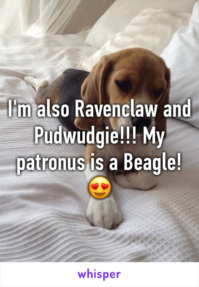 I'm also Ravenclaw and Pudwudgie!!! My patronus is a Beagle! 😍