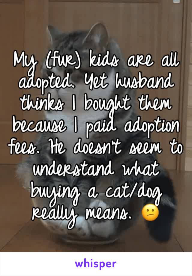 My (fur) kids are all adopted. Yet husband thinks I bought them because I paid adoption fees. He doesn't seem to understand what buying a cat/dog really means. 😕