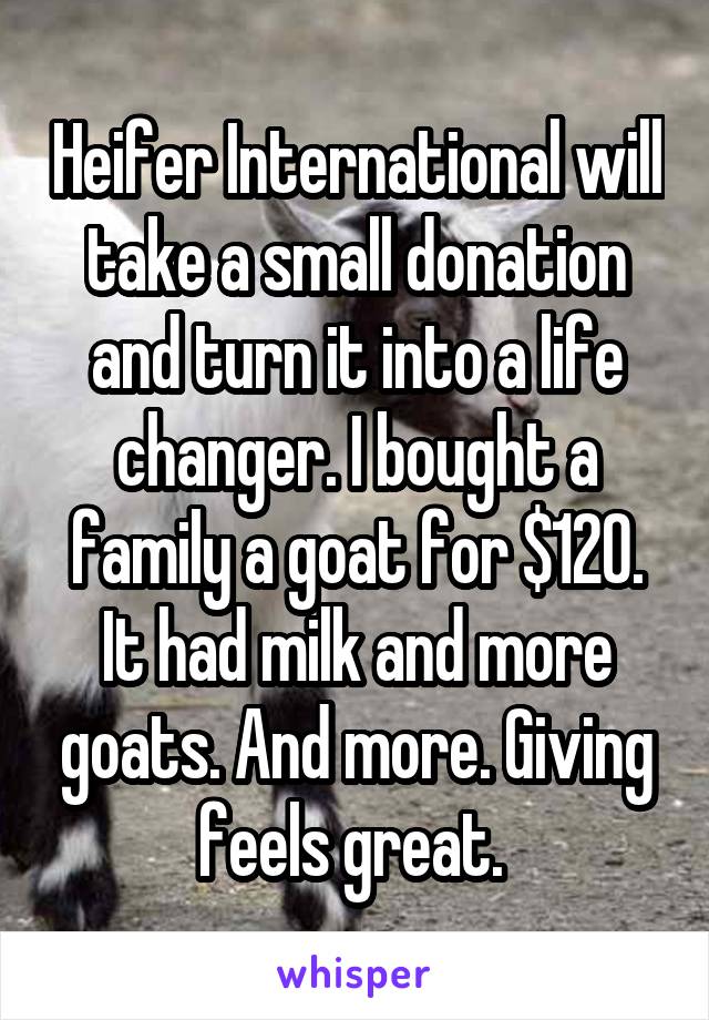 Heifer International will take a small donation and turn it into a life changer. I bought a family a goat for $120. It had milk and more goats. And more. Giving feels great. 