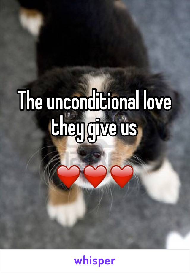 The unconditional love they give us 
  
❤️❤️❤️