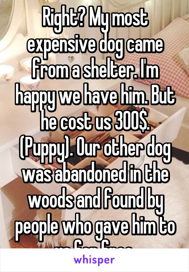 Right? My most expensive dog came from a shelter. I'm happy we have him. But he cost us 300$. (Puppy). Our other dog was abandoned in the woods and found by people who gave him to us for free.
