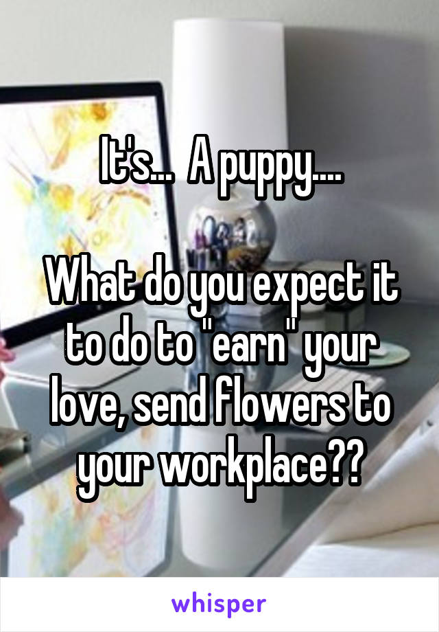 It's...  A puppy....

What do you expect it to do to "earn" your love, send flowers to your workplace??