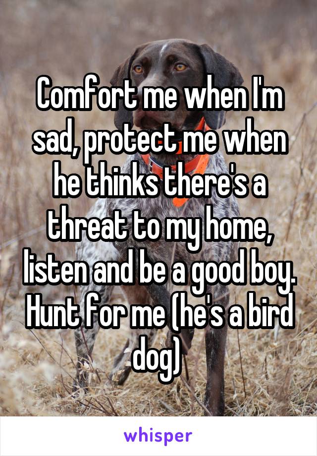 Comfort me when I'm sad, protect me when he thinks there's a threat to my home, listen and be a good boy. Hunt for me (he's a bird dog) 