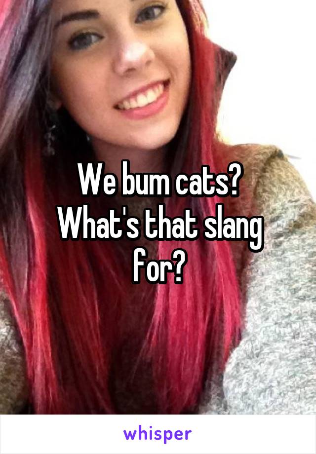 We bum cats?
What's that slang for?