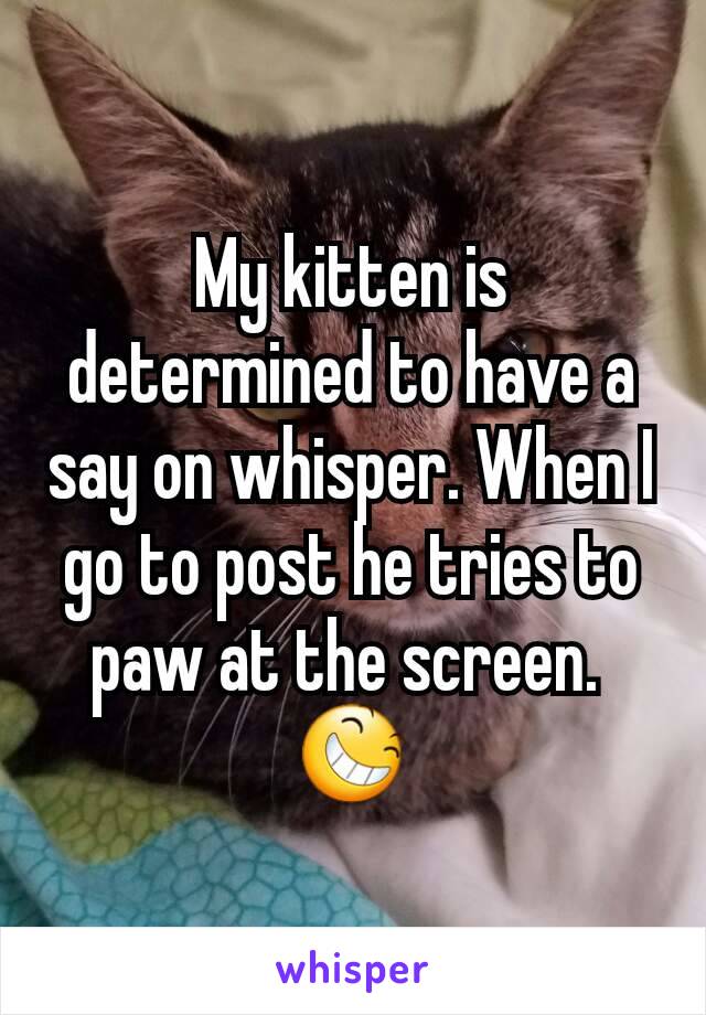 My kitten is determined to have a say on whisper. When I go to post he tries to paw at the screen. 
😆
