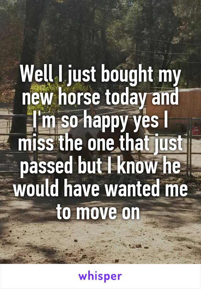Well I just bought my new horse today and I'm so happy yes I miss the one that just passed but I know he would have wanted me to move on 