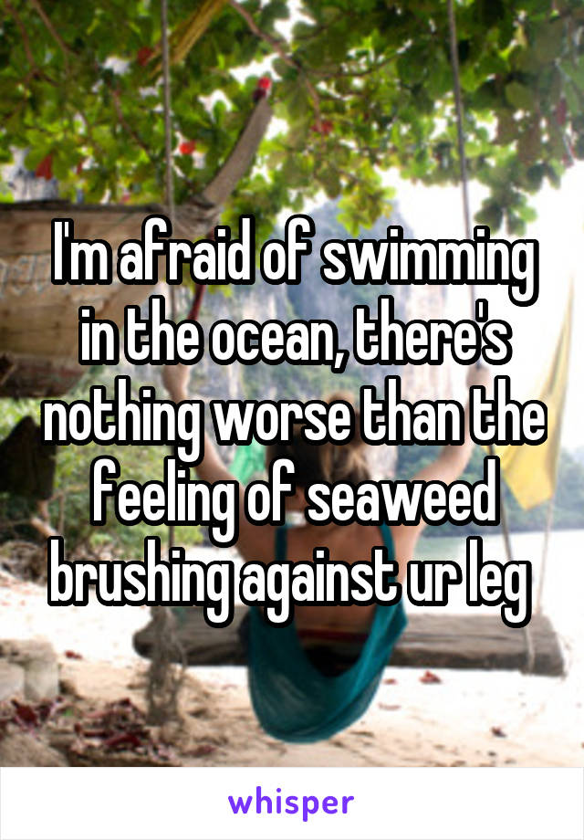 I'm afraid of swimming in the ocean, there's nothing worse than the feeling of seaweed brushing against ur leg 