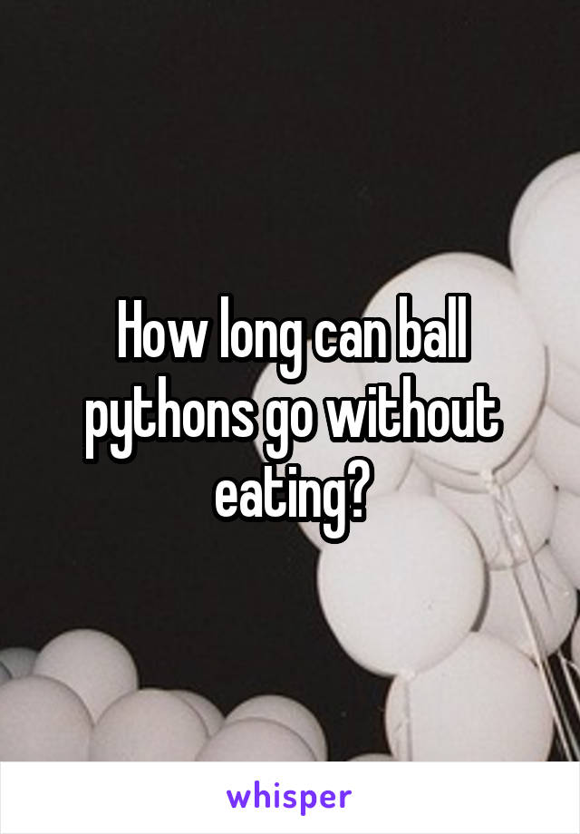 How long can ball pythons go without eating?