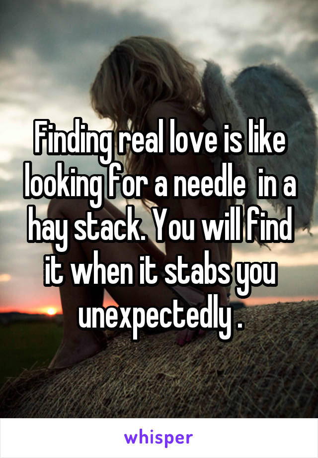 Finding real love is like looking for a needle  in a hay stack. You will find it when it stabs you unexpectedly .