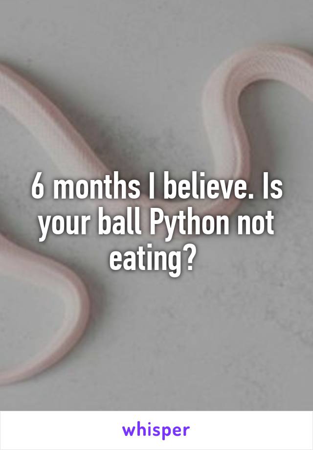 6 months I believe. Is your ball Python not eating? 