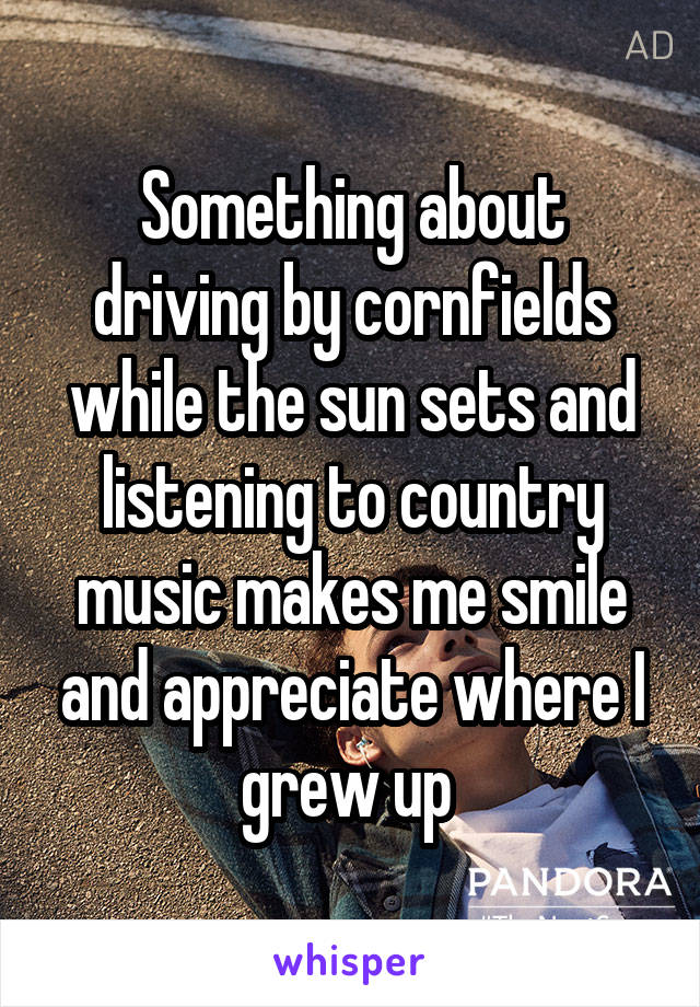 Something about driving by cornfields while the sun sets and listening to country music makes me smile and appreciate where I grew up 