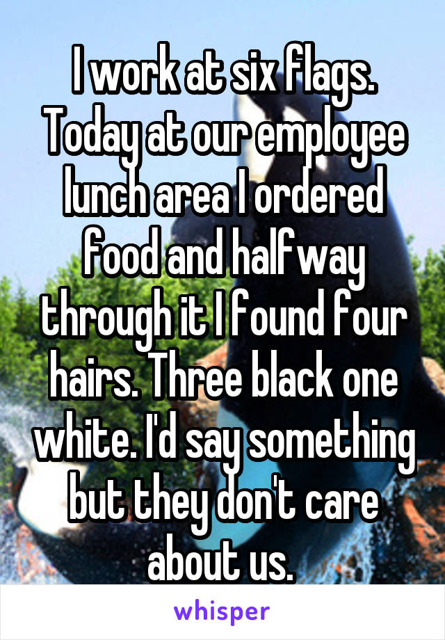 I work at six flags. Today at our employee lunch area I ordered food and halfway through it I found four hairs. Three black one white. I'd say something but they don't care about us. 