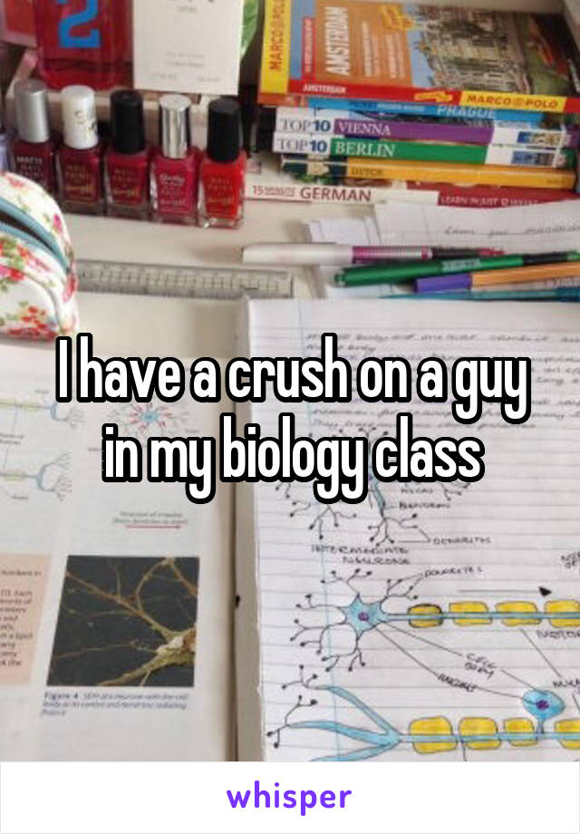 I have a crush on a guy in my biology class