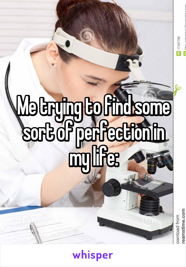 Me trying to find some sort of perfection in my life: