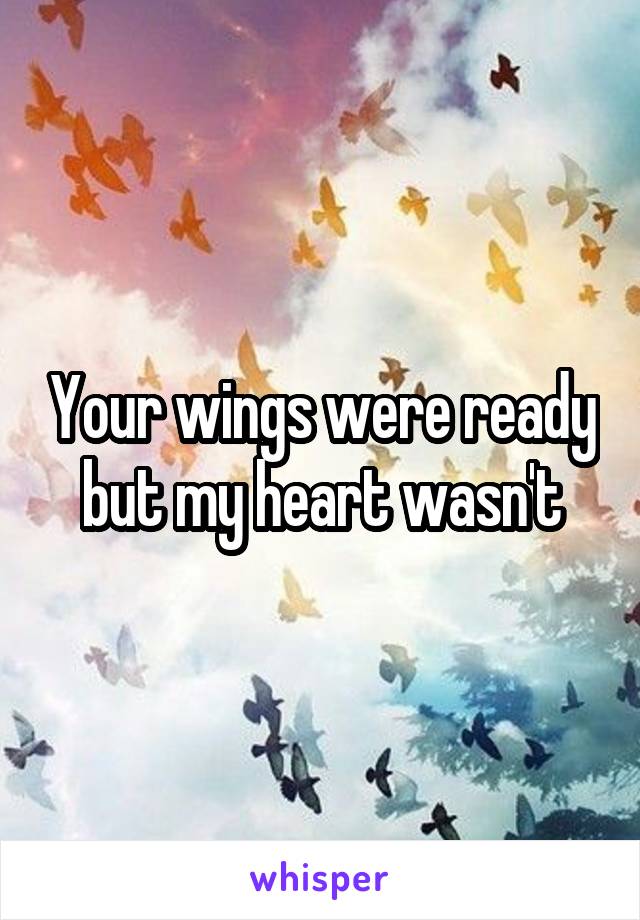 Your wings were ready but my heart wasn't