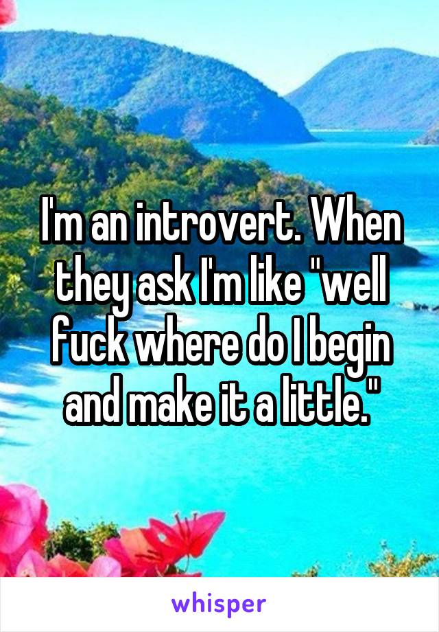 I'm an introvert. When they ask I'm like "well fuck where do I begin and make it a little."