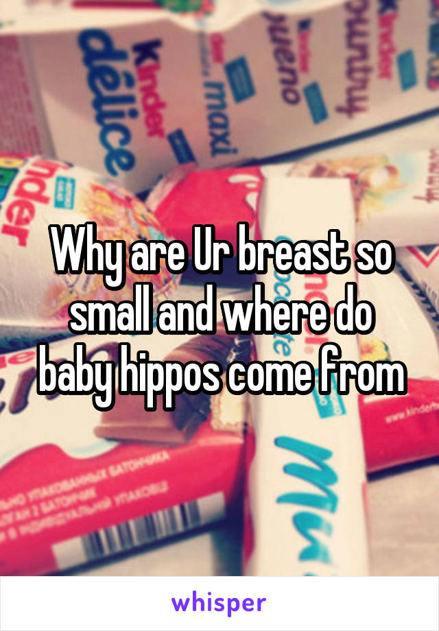 Why are Ur breast so small and where do baby hippos come from