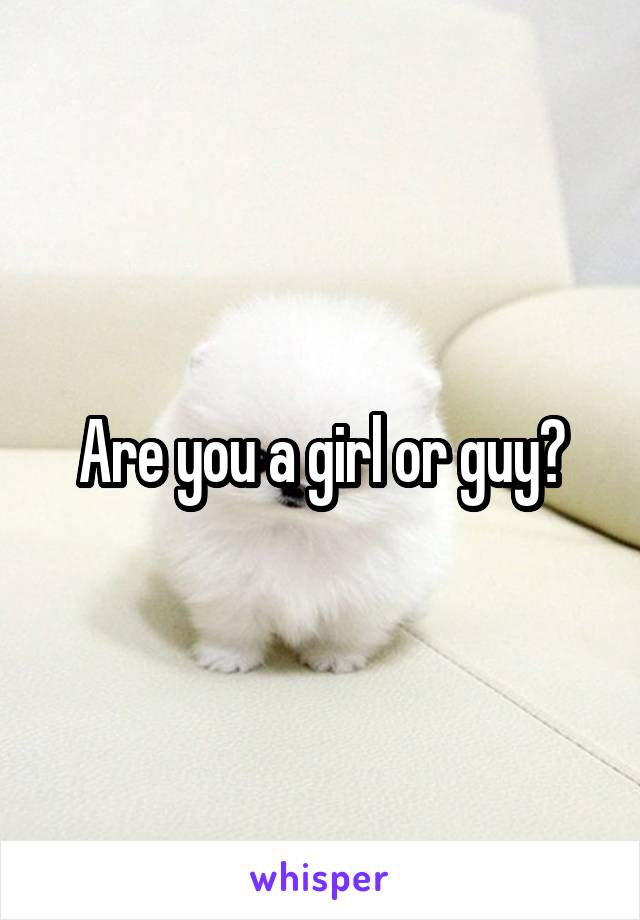 Are you a girl or guy?