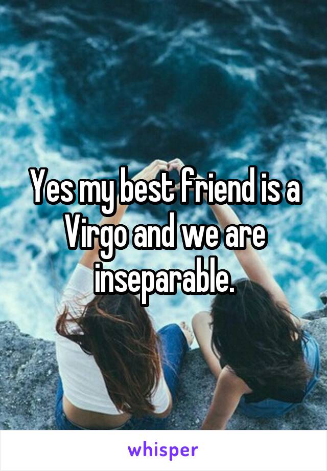 Yes my best friend is a Virgo and we are inseparable.