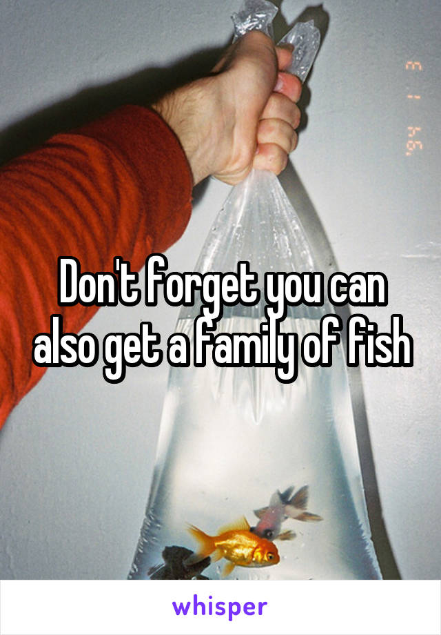 Don't forget you can also get a family of fish