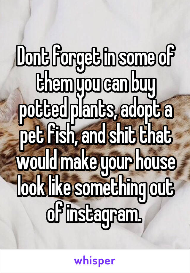 Dont forget in some of them you can buy potted plants, adopt a pet fish, and shit that would make your house look like something out of instagram. 