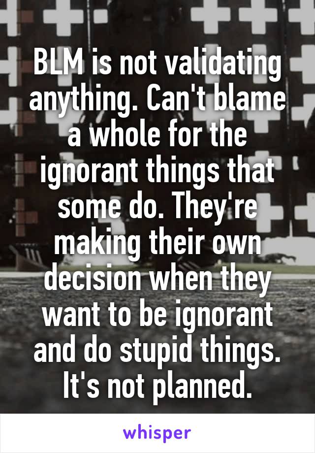 BLM is not validating anything. Can't blame a whole for the ignorant things that some do. They're making their own decision when they want to be ignorant and do stupid things. It's not planned.