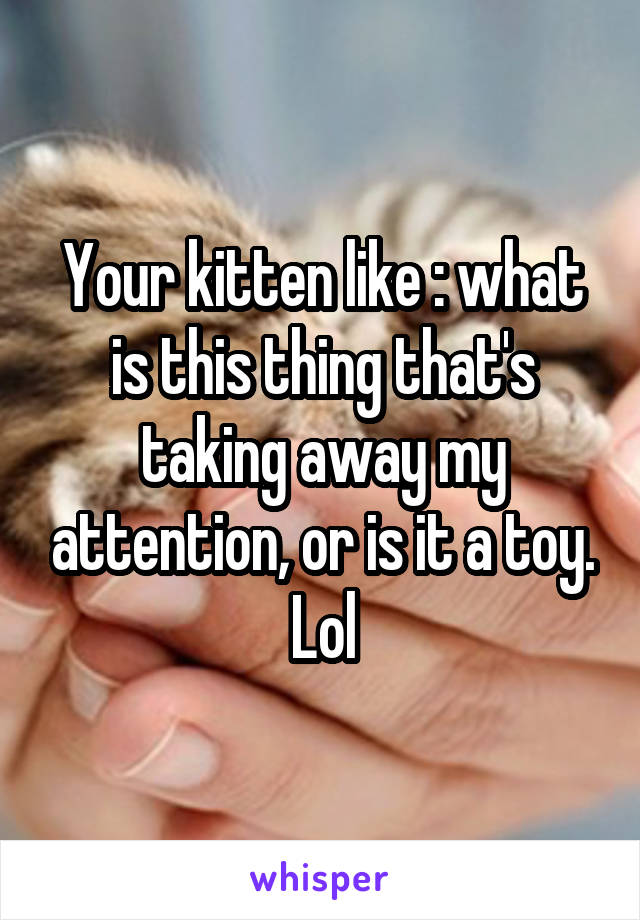 Your kitten like : what is this thing that's taking away my attention, or is it a toy. Lol