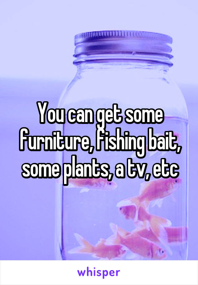 You can get some furniture, fishing bait, some plants, a tv, etc