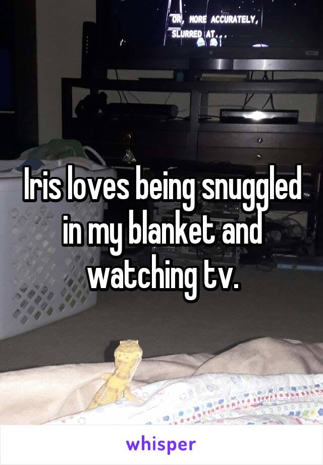 Iris loves being snuggled in my blanket and watching tv.