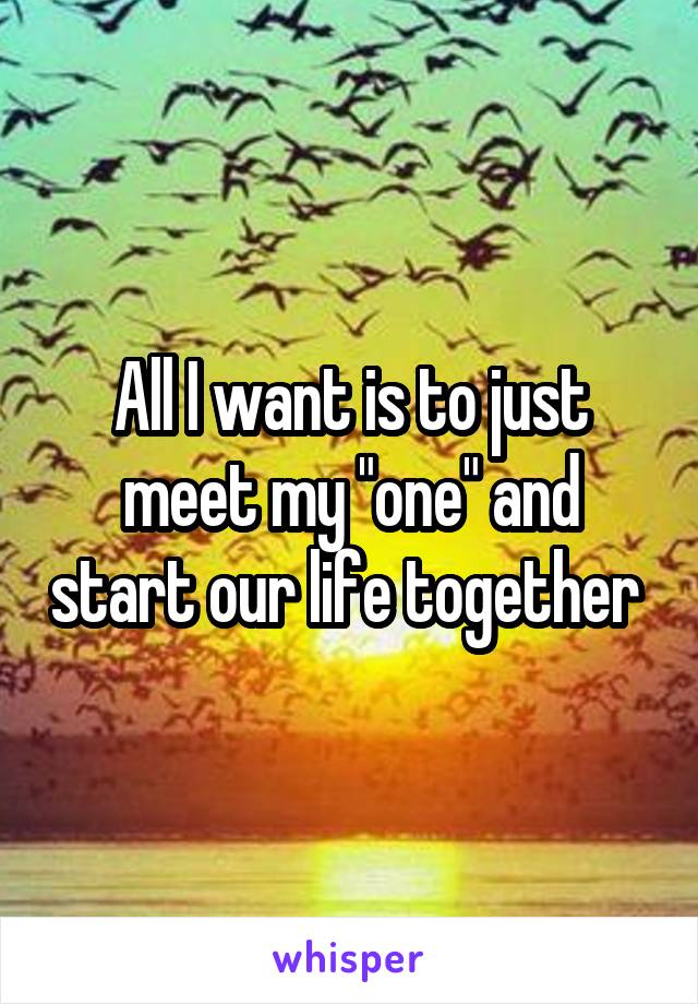 All I want is to just meet my "one" and start our life together 