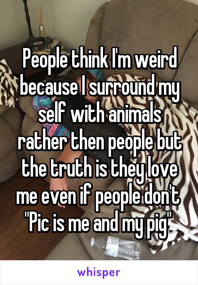 People think I'm weird because I surround my self with animals rather then people but the truth is they love me even if people don't 
"Pic is me and my pig" 