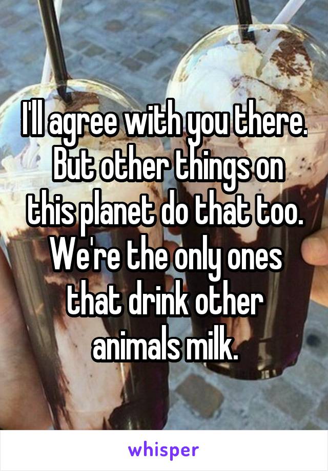 I'll agree with you there.  But other things on this planet do that too. We're the only ones that drink other animals milk.