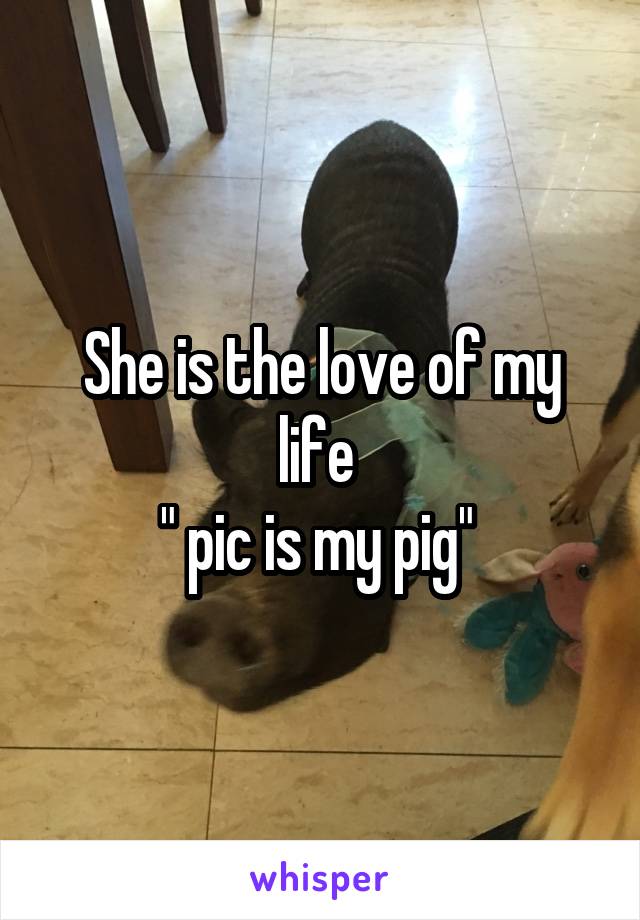 She is the love of my life 
" pic is my pig" 
