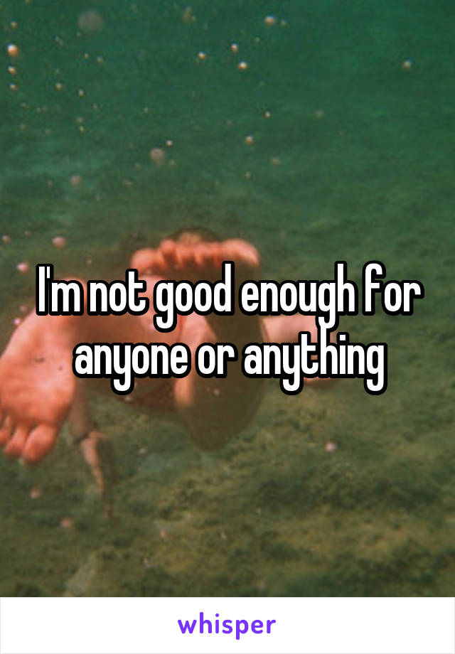 I'm not good enough for anyone or anything