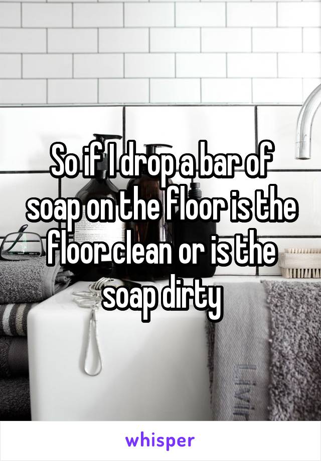 So if I drop a bar of soap on the floor is the floor clean or is the soap dirty