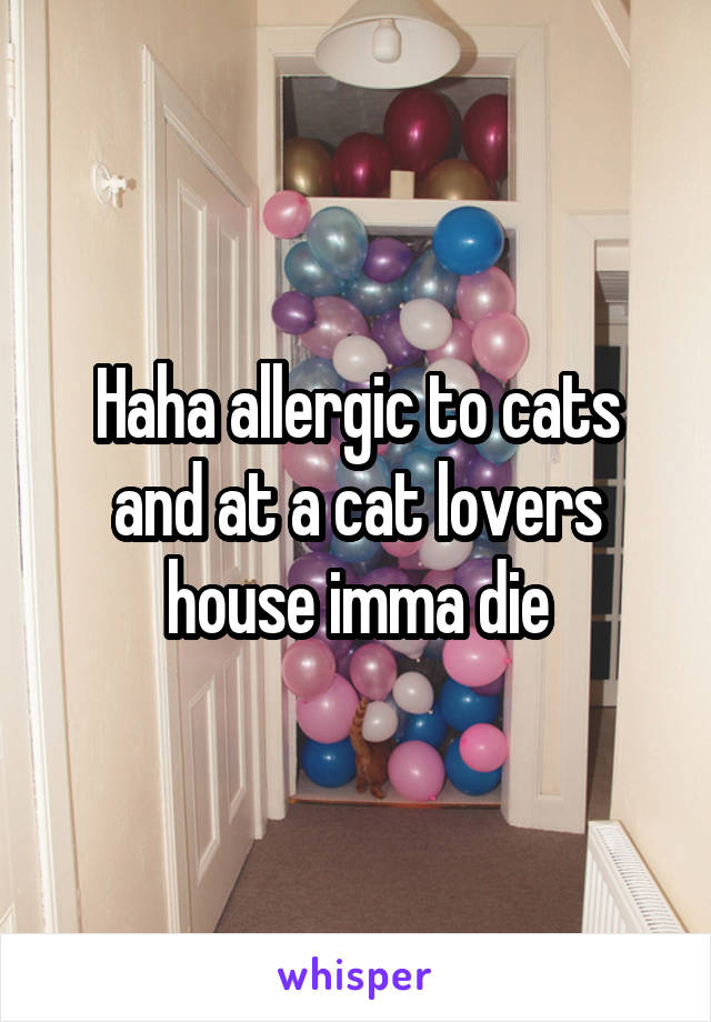 Haha allergic to cats and at a cat lovers house imma die