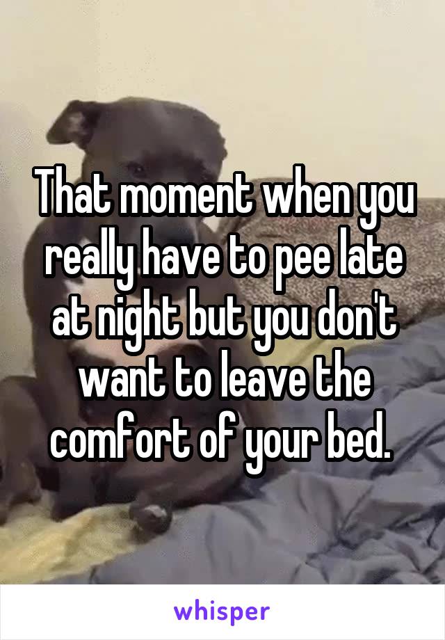 That moment when you really have to pee late at night but you don't want to leave the comfort of your bed. 