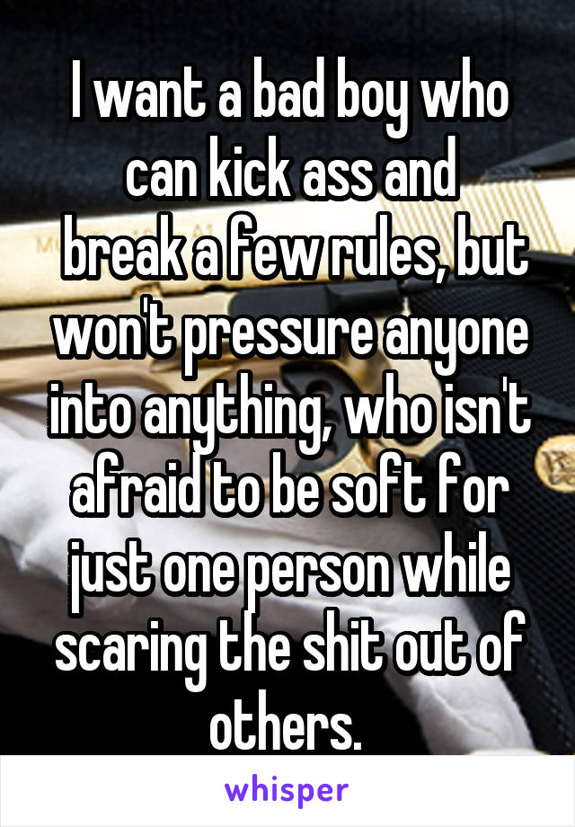 I want a bad boy who can kick ass and
 break a few rules, but won't pressure anyone into anything, who isn't afraid to be soft for just one person while scaring the shit out of others. 