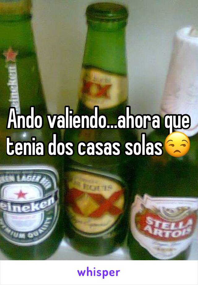 Ando valiendo...ahora que tenia dos casas solas😒