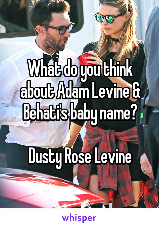 What do you think about Adam Levine & Behati's baby name?

Dusty Rose Levine