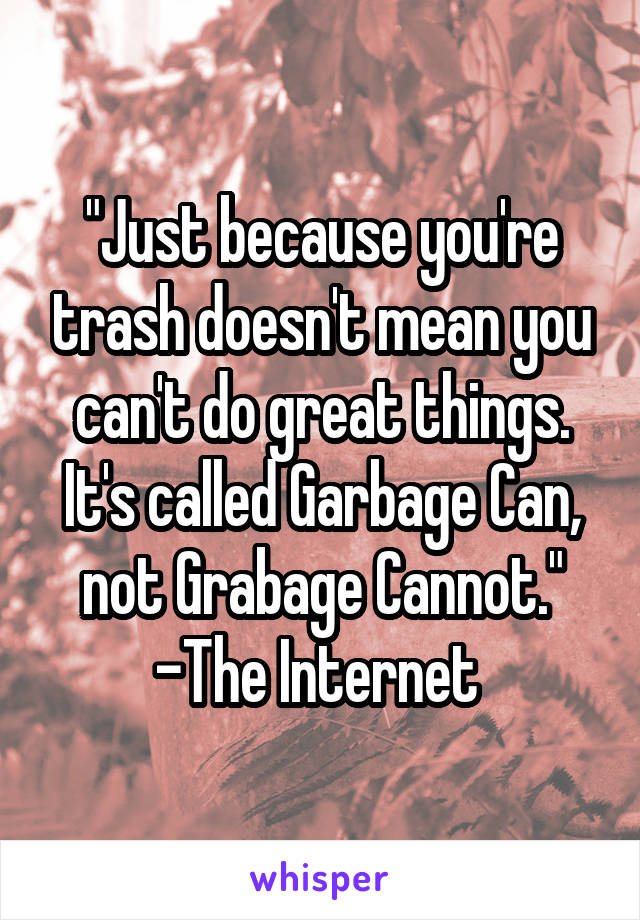 "Just because you're trash doesn't mean you can't do great things. It's called Garbage Can, not Grabage Cannot."
-The Internet 