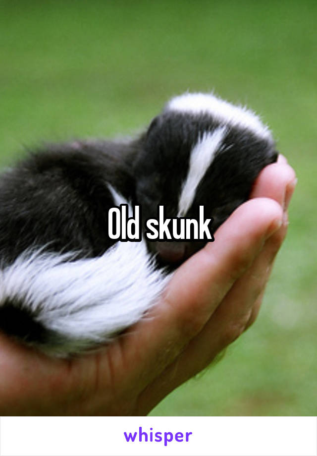 Old skunk